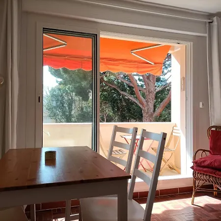 T2 A 50 Metres De La